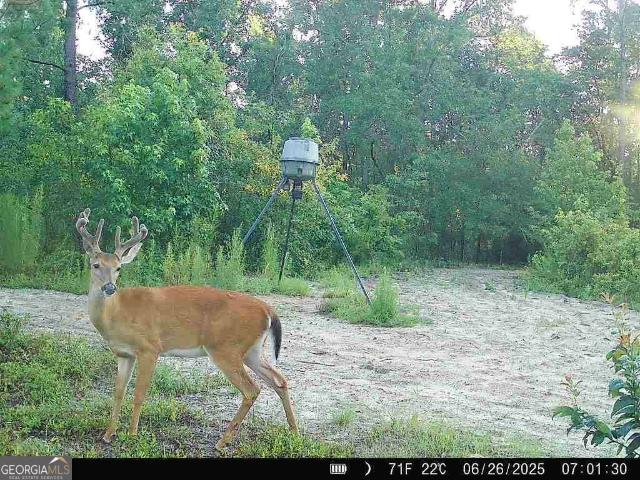Land for sale in Augusta, Burke County