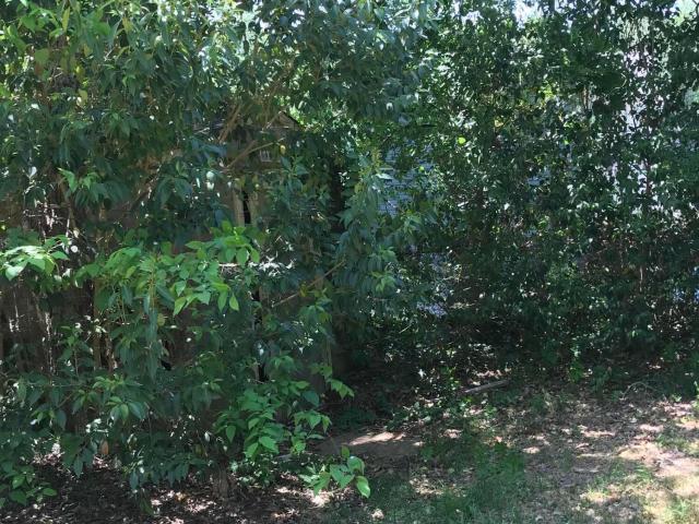 House for sale in Durham, North Carolina