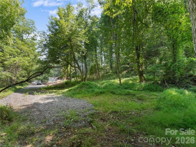 Land for sale in Transylvania, North Carolina