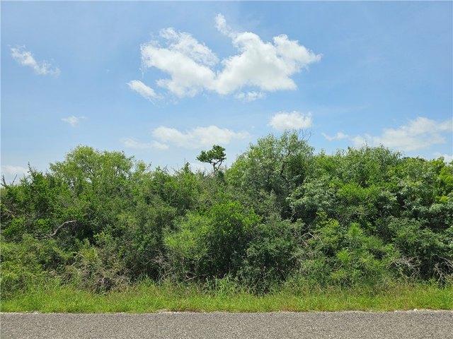 Land for sale in Bayside, Texas