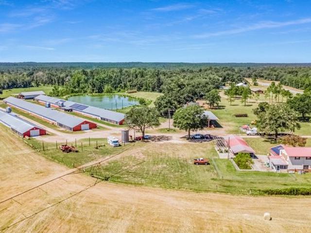 Farm for sale in Reidsville, Georgia