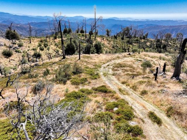Land for sale in Shaver Lake, California
