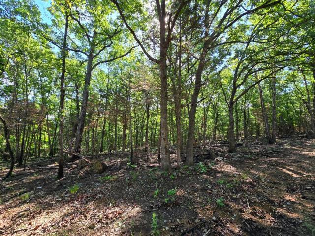 Land for sale in Hickory, Missouri