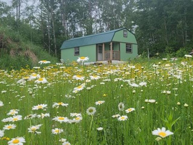 Land for sale in Trego, Wisconsin