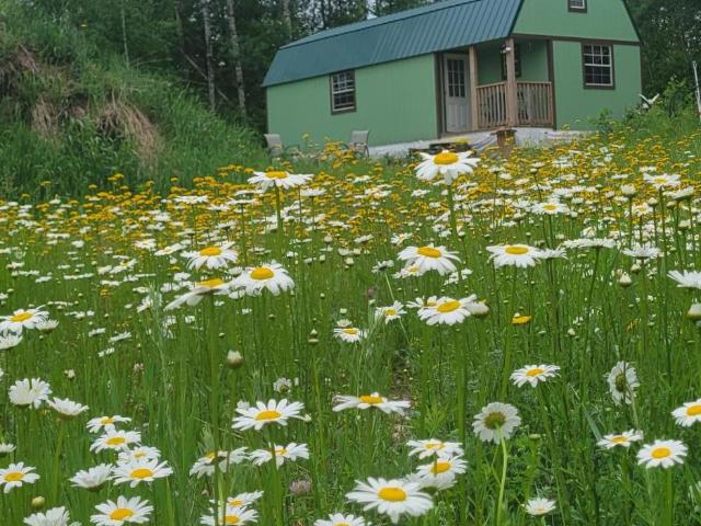 Land for sale in Wisconsin