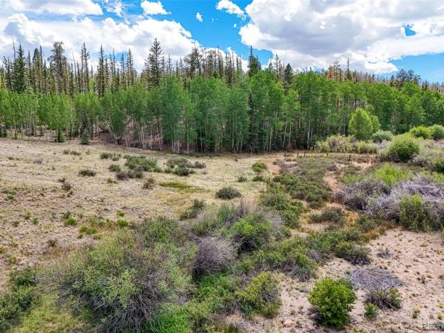 Land for sale in Hartsel, Park County