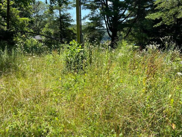 Land for sale in Mc Kee