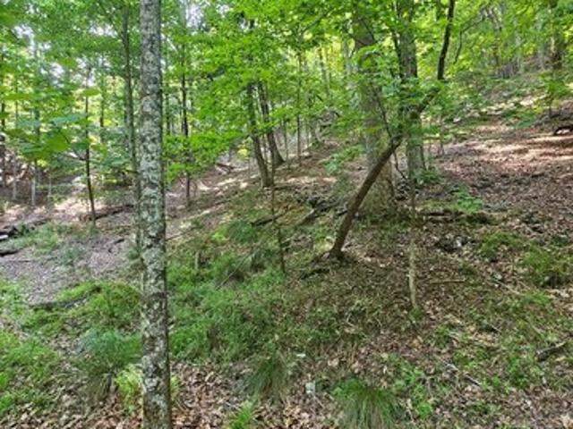 Land for sale in Pickens, Georgia