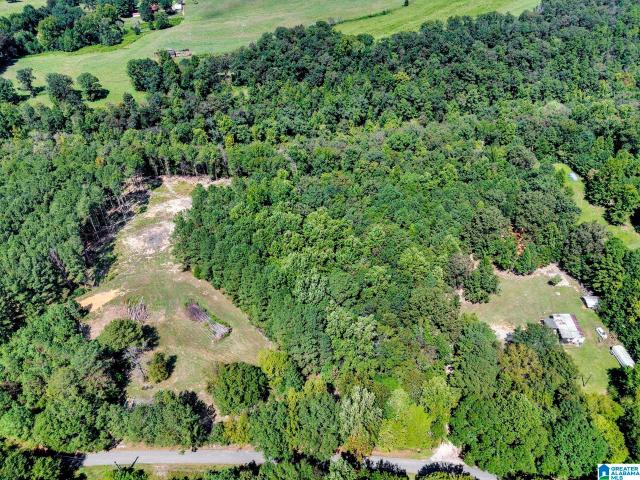 House for sale in Oneonta, Blount County