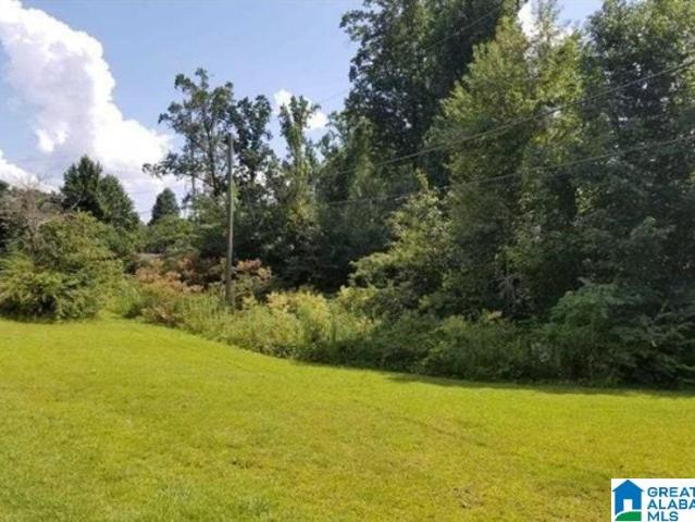 Land for sale in Pleasant Grove, Alabama