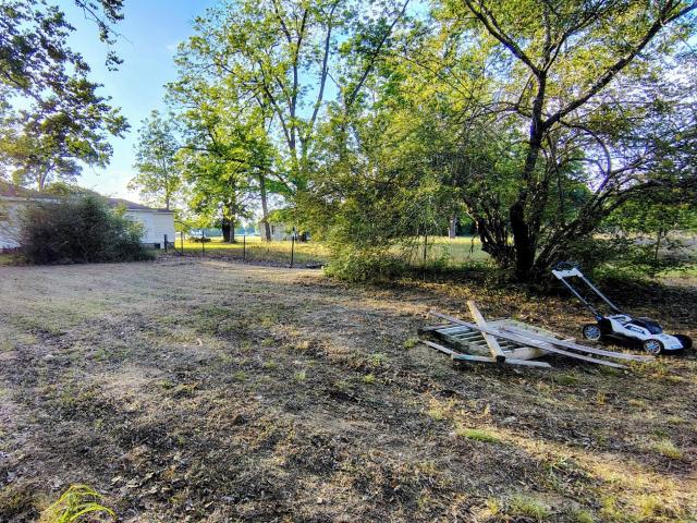 Land for sale in Geneva, Alabama