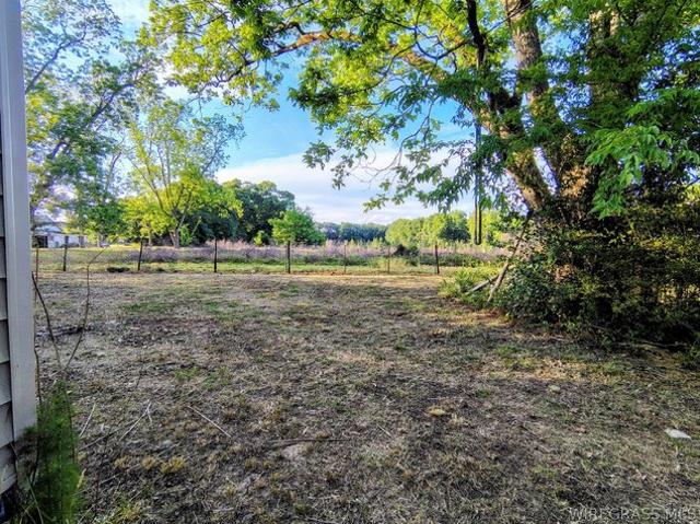 Land for sale in Geneva, Alabama