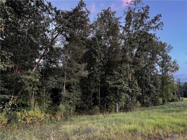Land for sale in Boyce, Rapides Parish