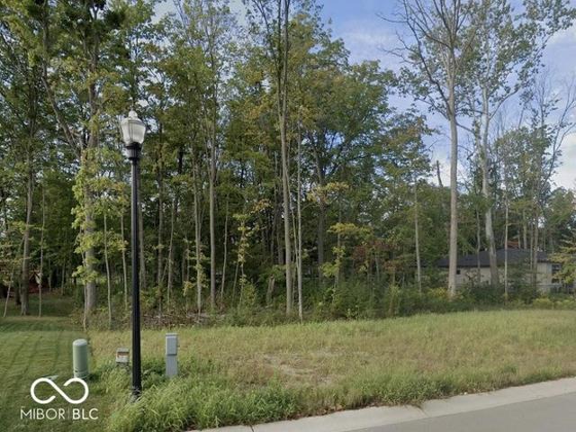 Land for sale in Zionsville, Indiana