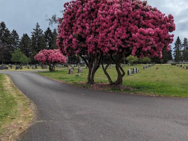Commercial for sale in Centralia, Washington