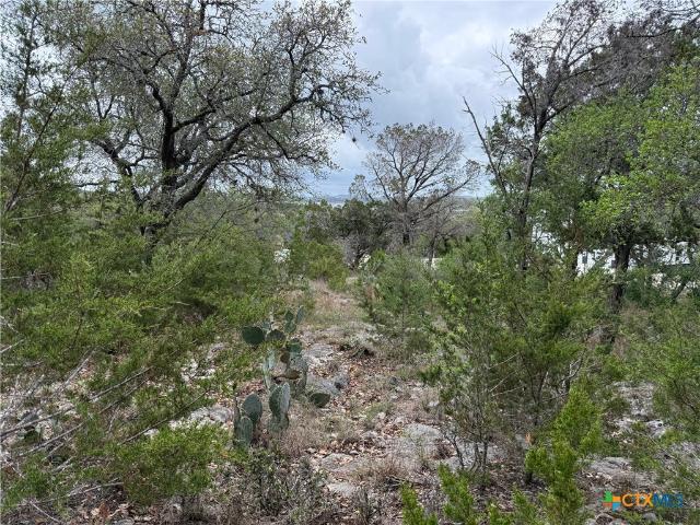 Land for sale in Texas
