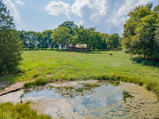 Land for sale in Tennessee