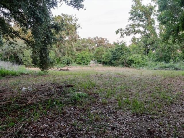 Land for sale in Thonotosassa, Florida