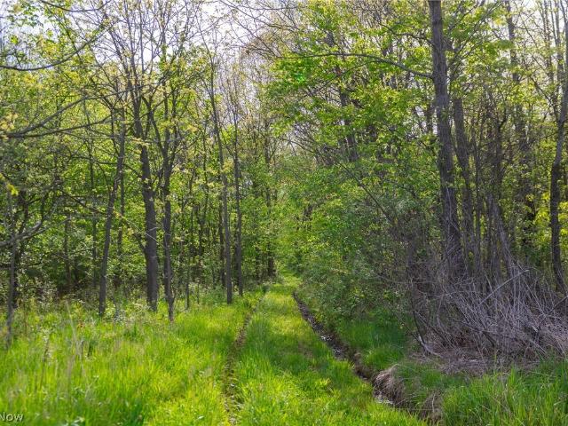 Land for sale in Bolivar, Ohio