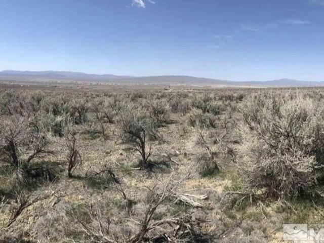 Land for sale in Lovelock, Nevada