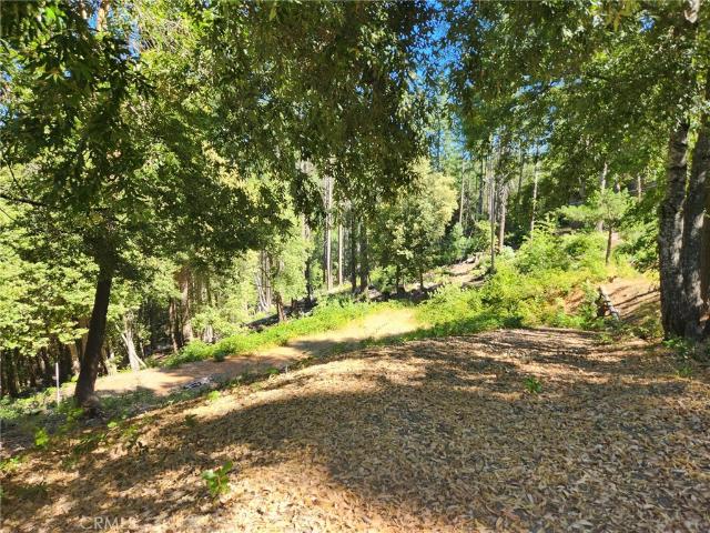 Land for sale in Butte, California