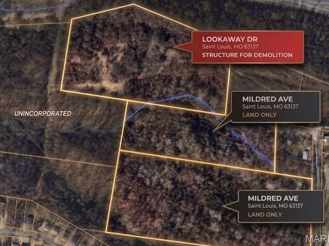 Land for sale in Saint Louis, Missouri