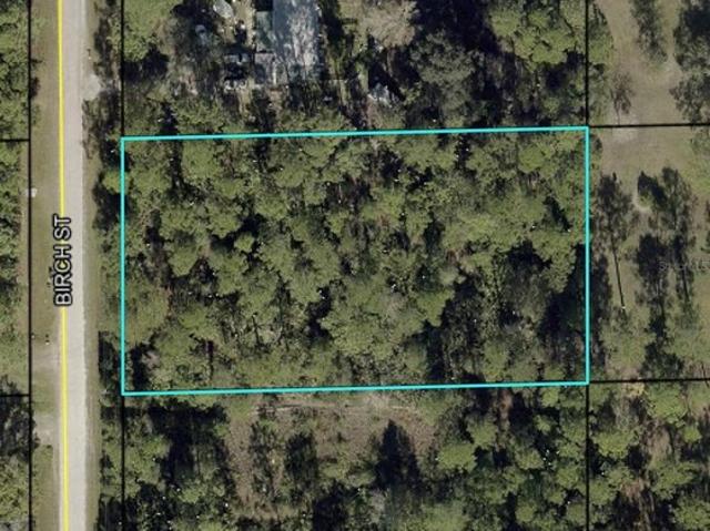 Land for sale in Bunnell, Florida