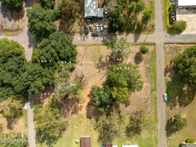 Property for sale in Evangeline, Louisiana