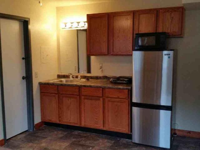 Apartment for rent in South Campus, Madison