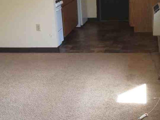Apartment for rent in South Campus, Madison