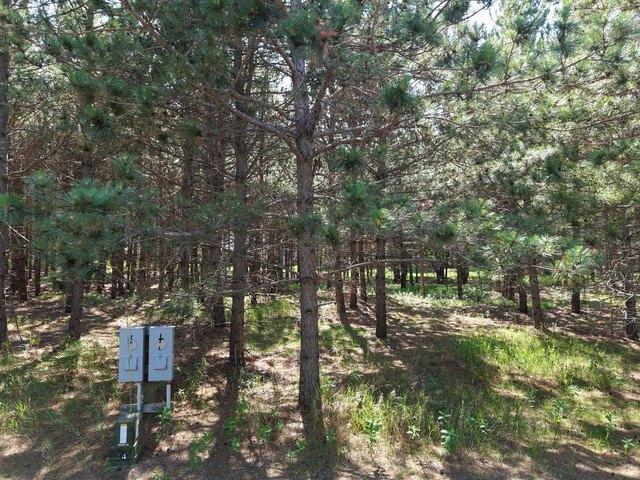 Land for sale in Hubbard, Minnesota