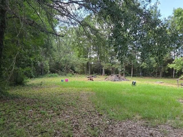 Land for sale in Panola, Texas