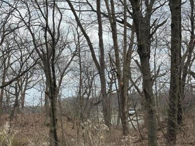 Land for sale in Hobart, Lake County