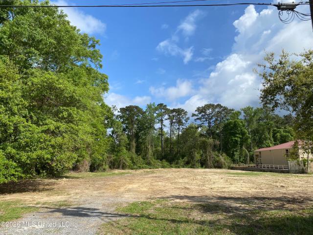 Land for sale in Picayune, Mississippi