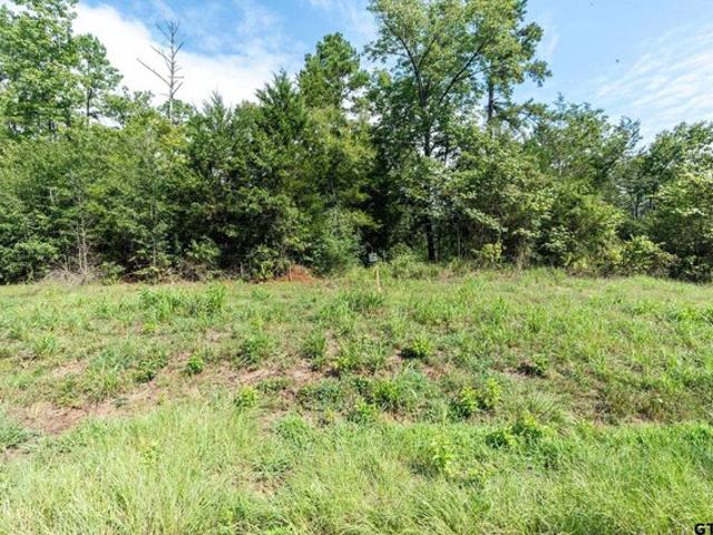 Land for sale in Smith, Texas