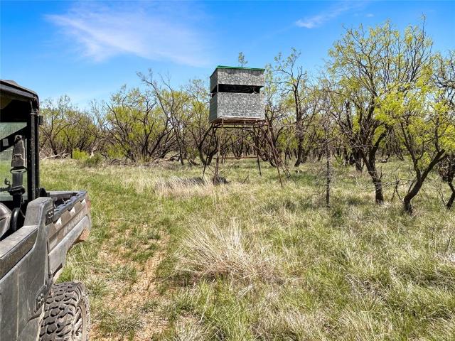 Land for sale in Cisco, Texas