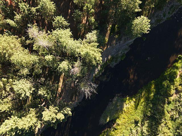 Land for sale in California