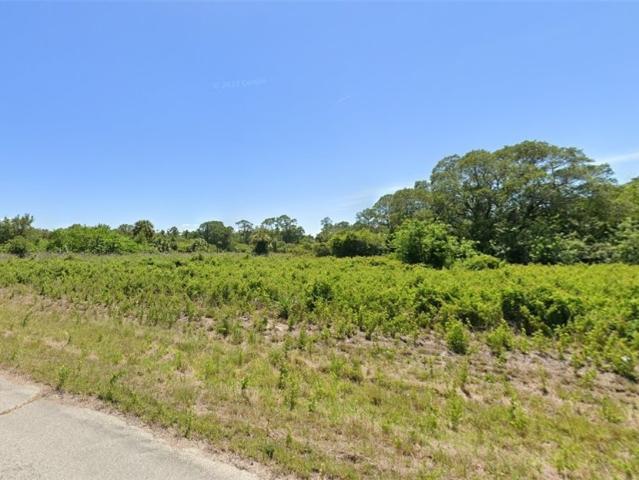 Land for sale in Labelle, Florida