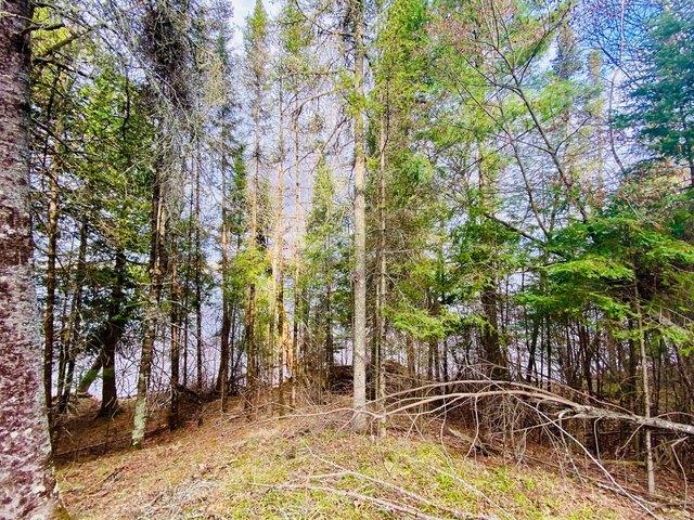 Land for sale in Solon Springs, Wisconsin