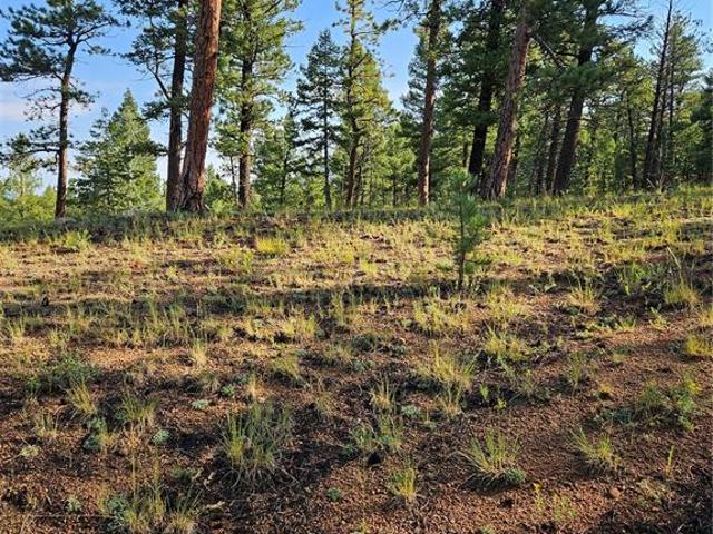 Land for sale in Teller, Colorado