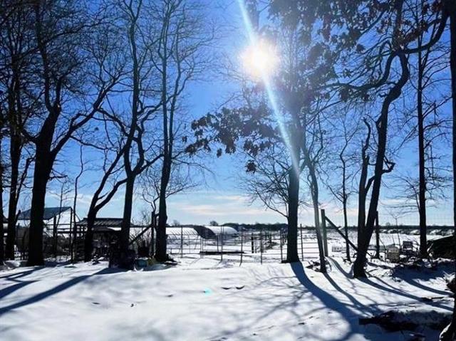 Commercial for sale in Riverhead, New York