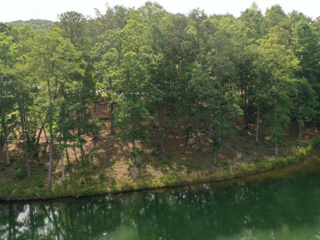 Land for sale in Clarkesville, Georgia
