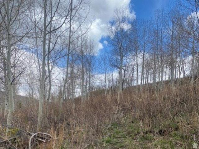 Land for sale in Coalville, Utah