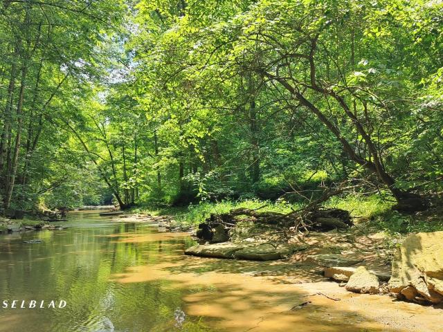 Land for sale in Westport, Indiana