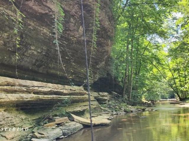 Land for sale in Westport, Indiana
