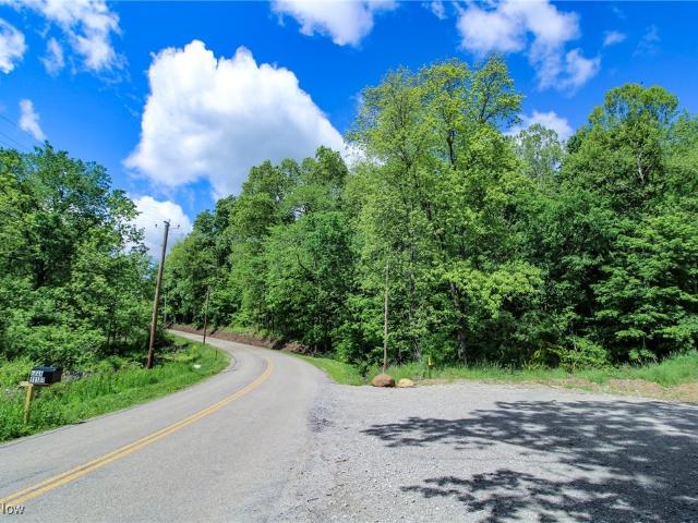 Land for sale in Saint Louisville