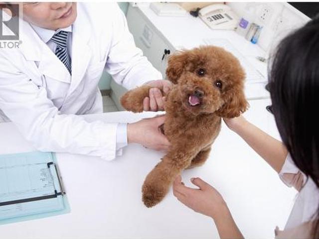 Commercial for sale in Richmond, British Columbia