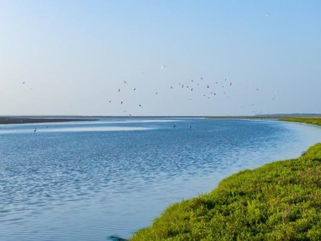 Farm for sale in Kingsville, Texas