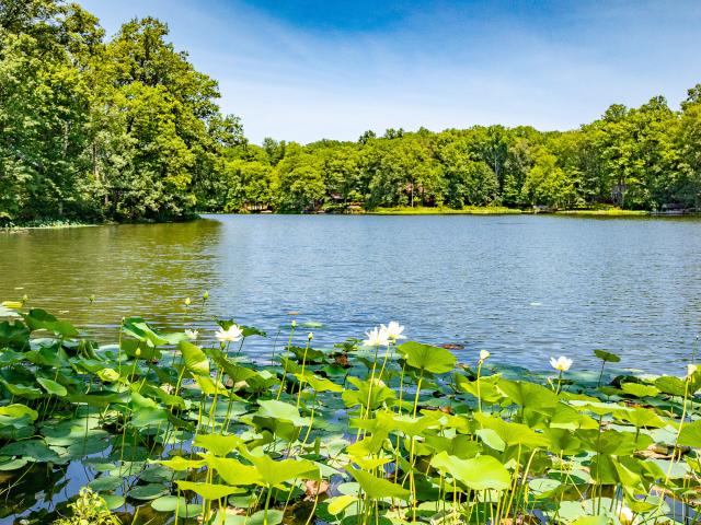 Land for sale in Brazil, Indiana