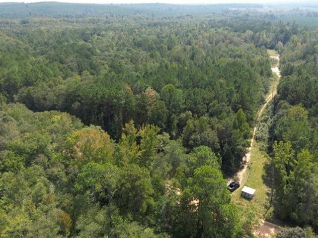 Land for sale in Wilkinson, Georgia